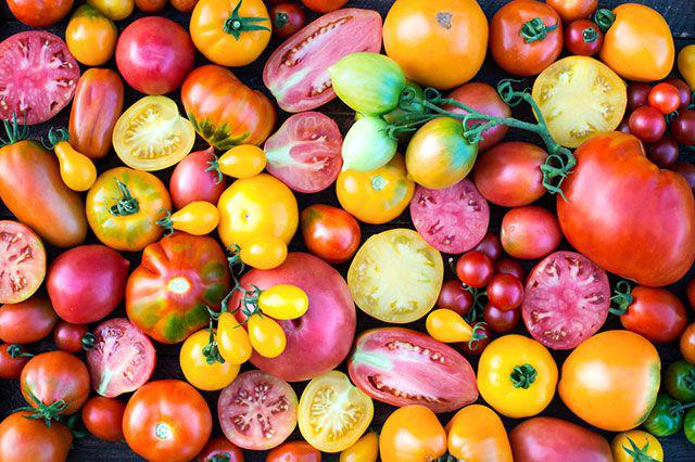 Обзор семян томатов