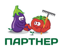 Партнер