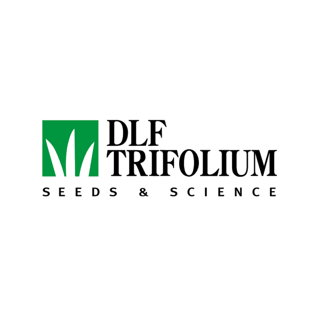 DLF Trifolium DLF Trifolium