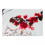 Доска разд. стекл. 20*30*0,4см "Сакура" GC908 VETTA