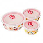 Набор салатников 3шт керамика, с пластиковой крышкой (300мл, 500мл, 650мл) "Птицы"