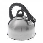 Чайник нерж. 3,0л матовый RWK038-3.0L-S К12 VETTA