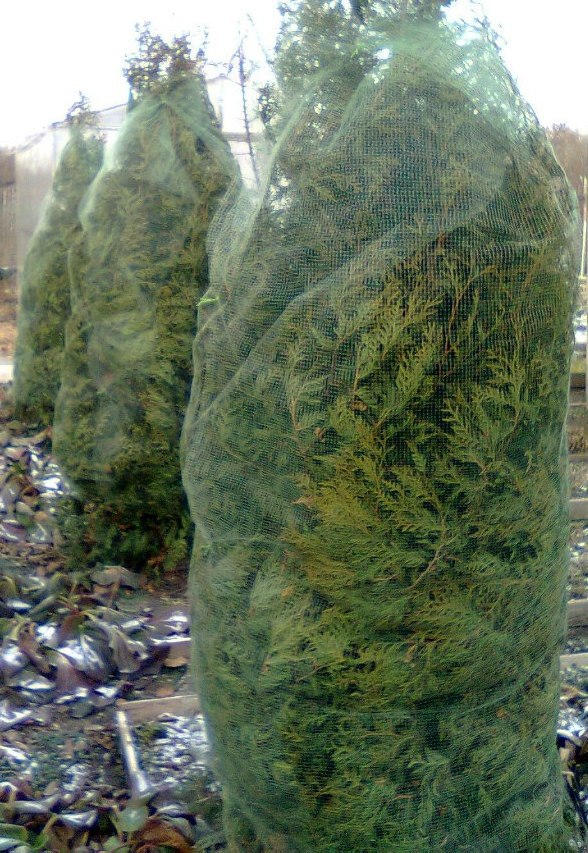 Шпагат и сетка для растений купить в самаре