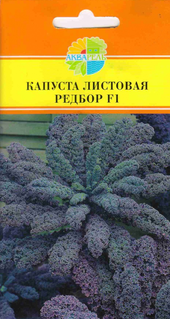 Капуста кале