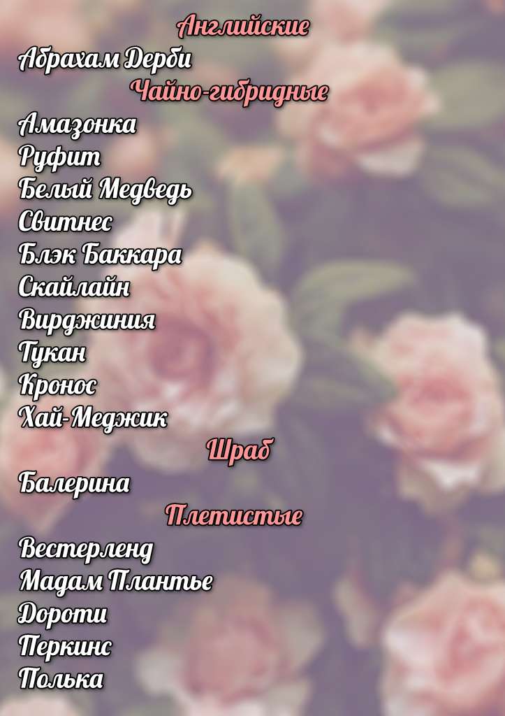 розыы.png