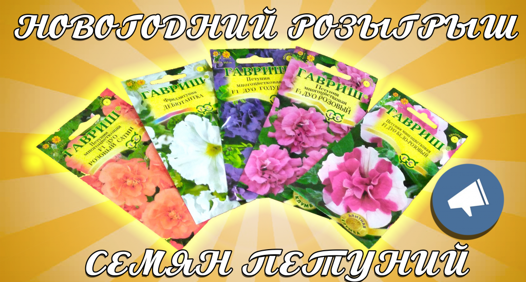 Семена петуний за репост розыгрыш