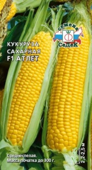f2af80a8f863ae1b99c73875416d1b03.jpg