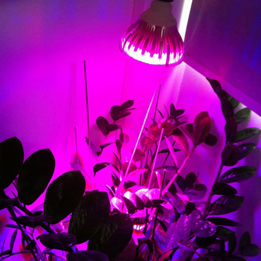 Фитолампы, led-ленты, биосветильники, фитоленты, led-лампы, светодиоды, купить в Самаре, лампы для растений