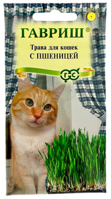 Трава для кошек с пшеницей ГАВРИШ