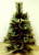 DSC00157_copy