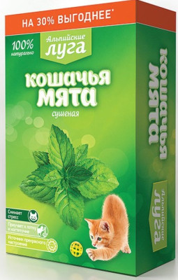 Кошачья мята сушеная 20 гр. Альпийские луга