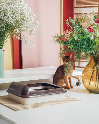 Лоток для животных Верный друг М6415